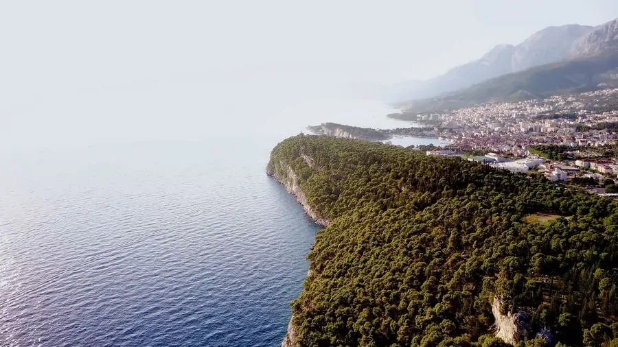OSEJAVA treba postati PARK ŠUMA